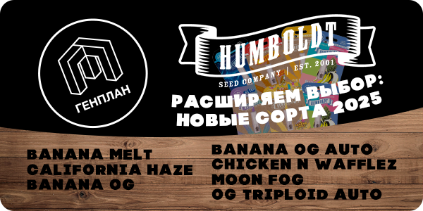 Расширяем выбор: новые сорта 2025