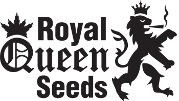 -15 % на два топовых сорта  Royal Queen