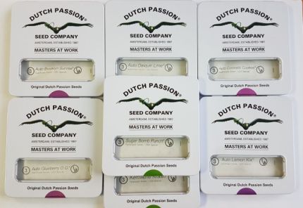 – 50 % на супер сорта USA-линейки Dutch Passion 