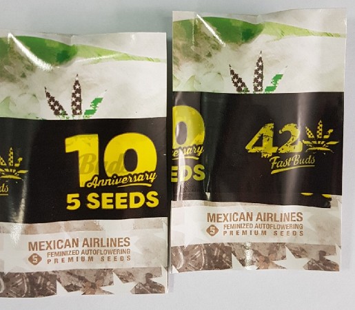 Не забываем про 5+ 5 от Fast Buds 