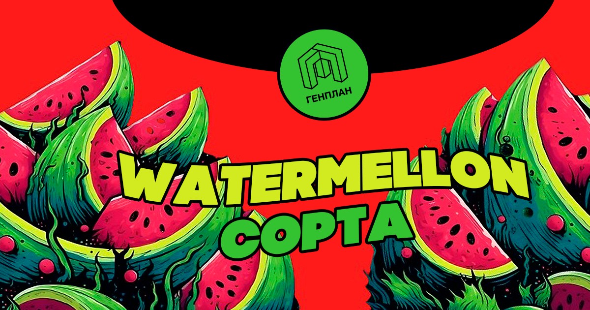 -16% на все WATERMELON сорта!
